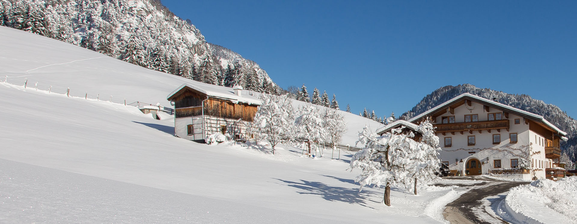 Bauernhof Unken Urlaub 7 Gross